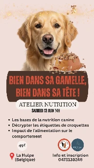 Atelier nutrition canine 13 juin 2026